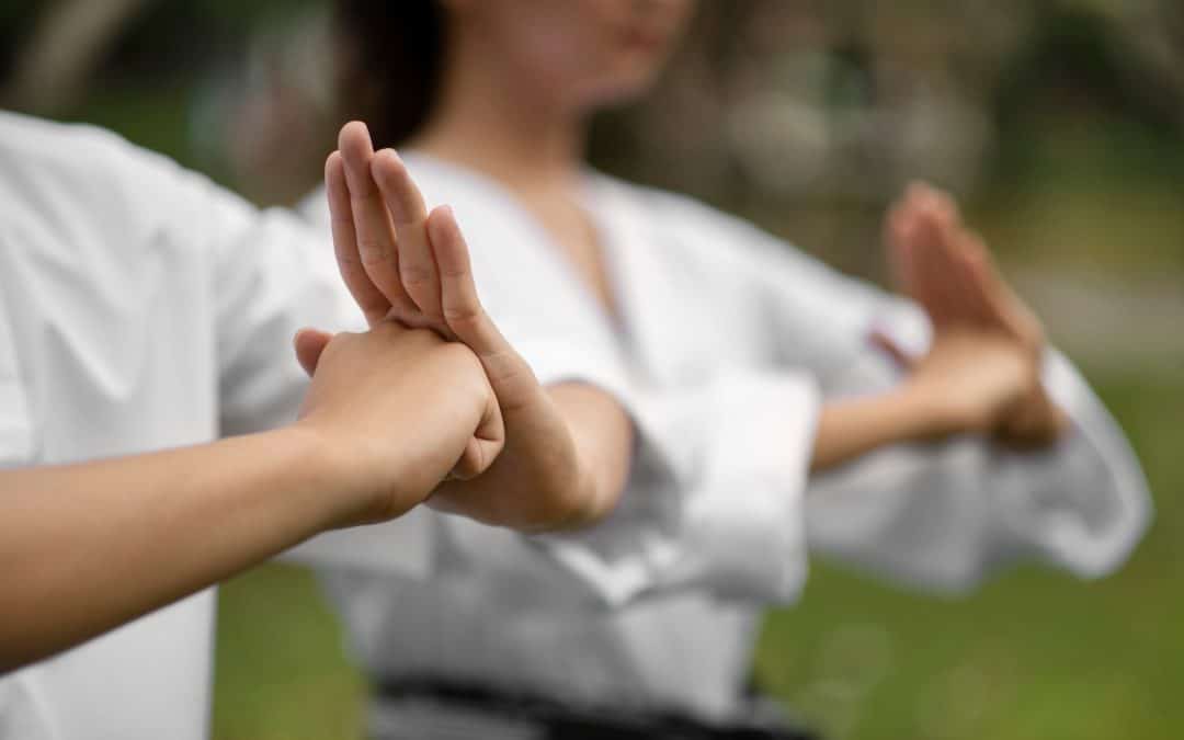 Twee personen die aan gevechtskunst doen