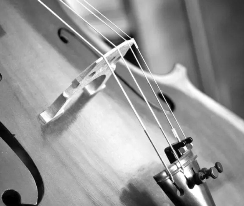 Conférence AIU : ‘L’Odyssée du Violoncelle’